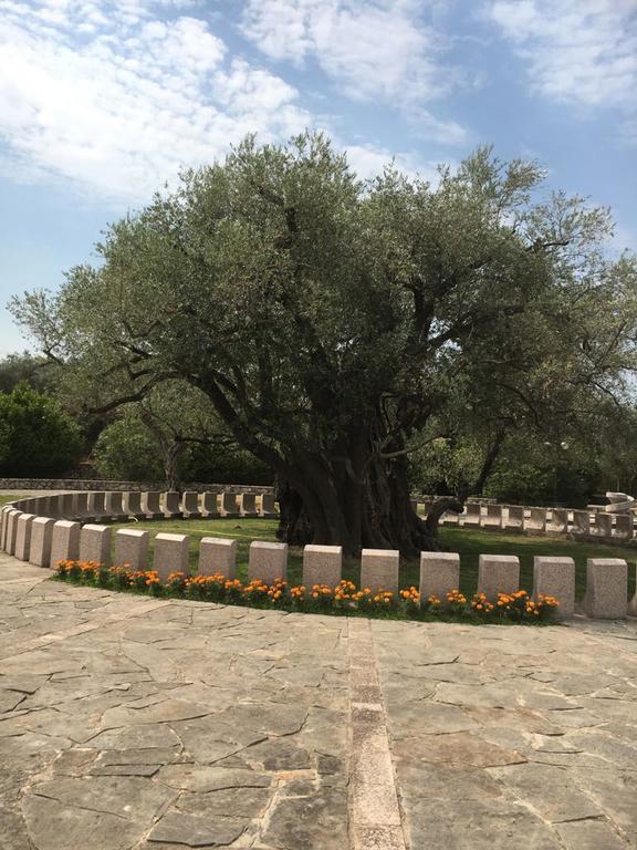 Guesthouse Oaza Emi Dobra Voda Εξωτερικό φωτογραφία